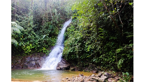 Camatis Falls